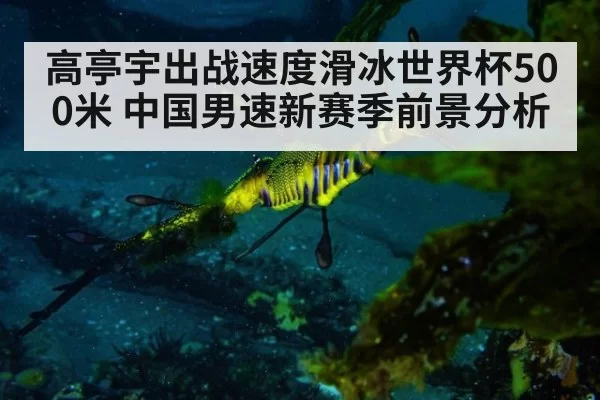 高亭宇出战速度滑冰世界杯500米 中国男速新赛季前景分析